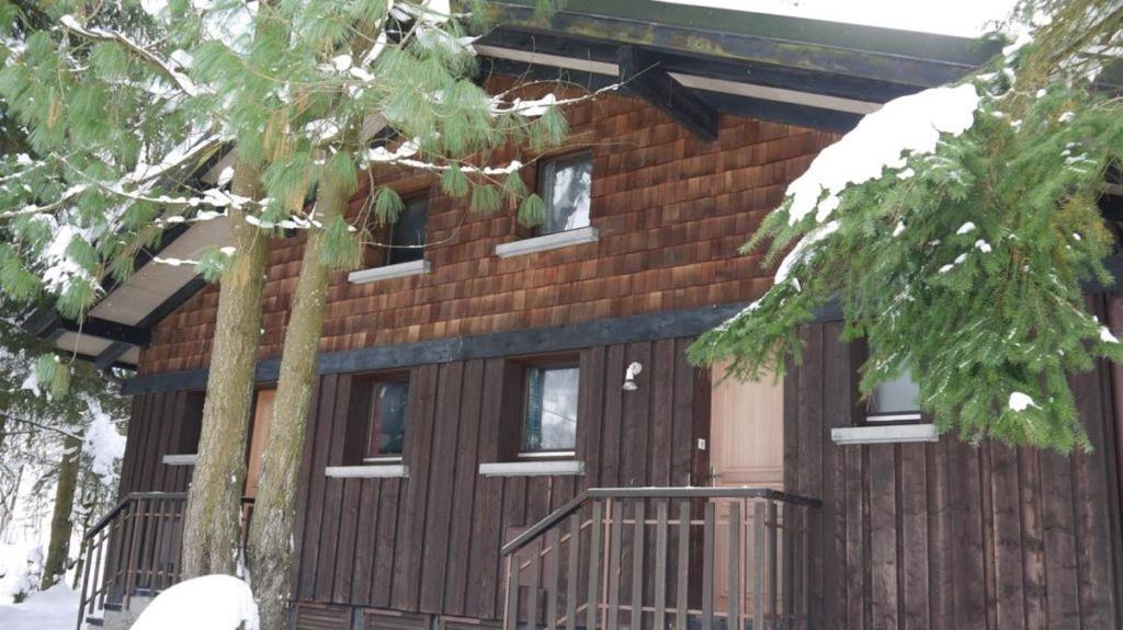 Le Flocon 1 Appartement Avec Terrasse La Bresse Eksteriør billede